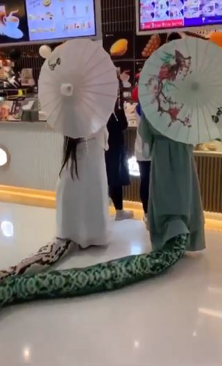 撞見「青蛇白蛇」買飲料！200cm巨大蛇尾蠕動　網友肉搜出「超唯美正面照」暴動：娘子我來了