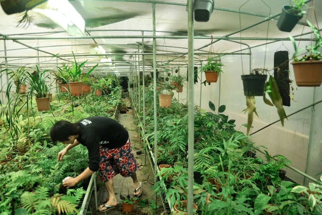 全台最危險工作！他終生不婚「捨命穿越荒林20年」　被一群博士封神：「真正的富有」