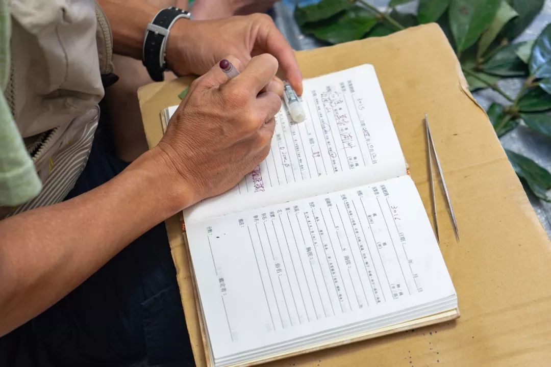 全台最危險工作！他終生不婚「捨命穿越荒林20年」　被一群博士封神：「真正的富有」