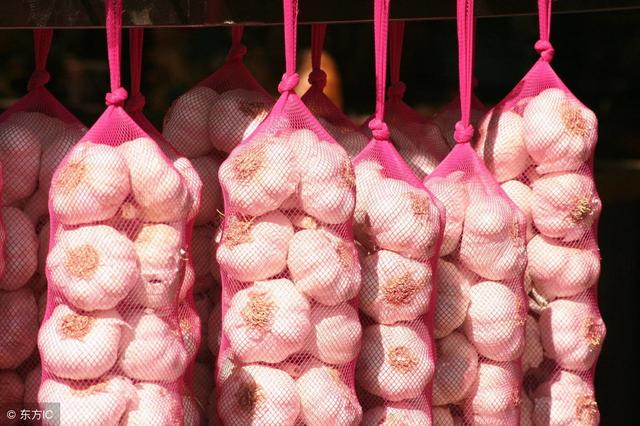 保存大蒜原來這麼簡單，放上一年都不會發芽，可惜很多人都不知道
