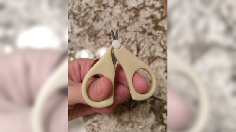 他買剪刀「刀片僅1cm」傻問：該打消保會？　專業網友揭「神祕用途」大讚：超好剪！