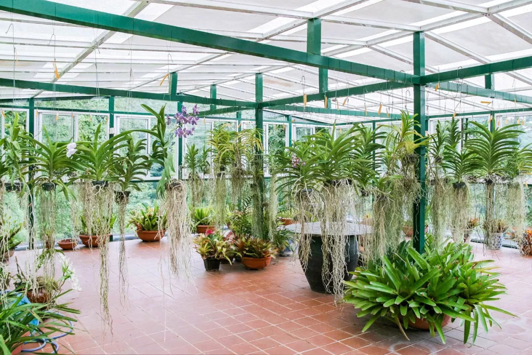 比故宮博物館還壯觀！台灣教授30年前 「花330萬買下整個山頭」 收集上億年前恐龍化石，上萬植物