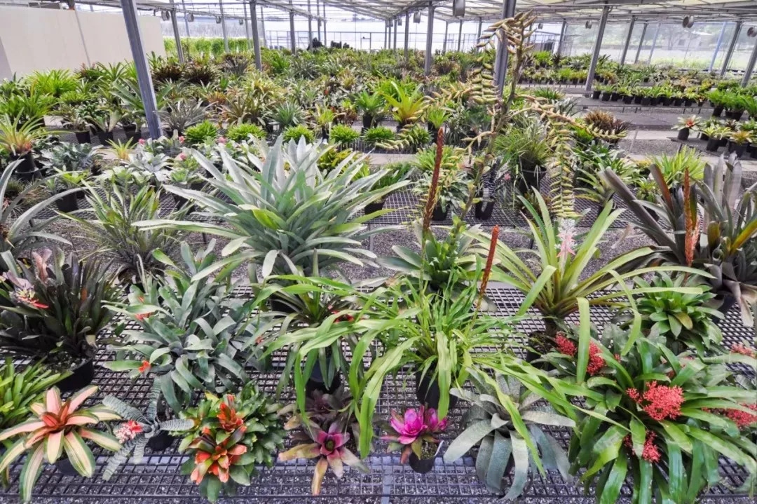 比故宮博物館還壯觀！台灣教授30年前 「花330萬買下整個山頭」 收集上億年前恐龍化石，上萬植物
