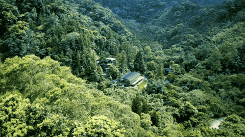 比故宮博物館還壯觀！台灣教授30年前 「花330萬買下整個山頭」 收集上億年前恐龍化石，上萬植物