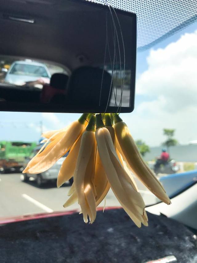 他好心買50元玉蘭花「阿婆給了就逃走」　拿起來一看「只有一朵」網友笑：你賺到了