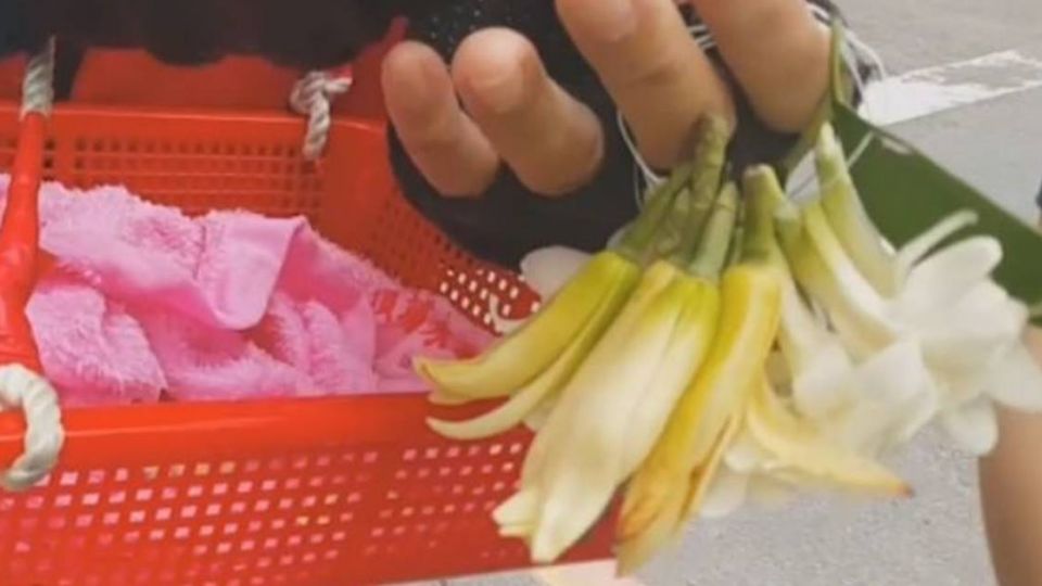 他好心買50元玉蘭花「阿婆給了就逃走」　拿起來一看「只有一朵」網友笑：你賺到了
