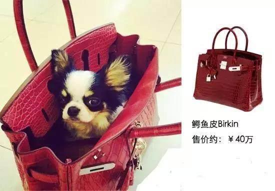 劉濤包包1150萬，趙薇包包1330萬，而郭晶晶的包包讓明星抬不起頭