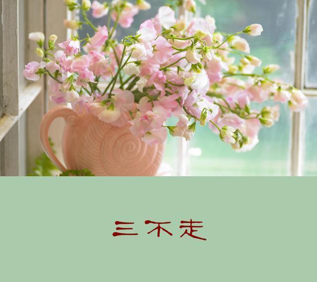 50歲知天命!不走三親,不喝三酒,不比三物,說得太好了