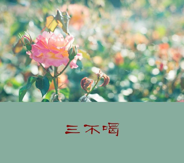 50歲知天命!不走三親,不喝三酒,不比三物,說得太好了