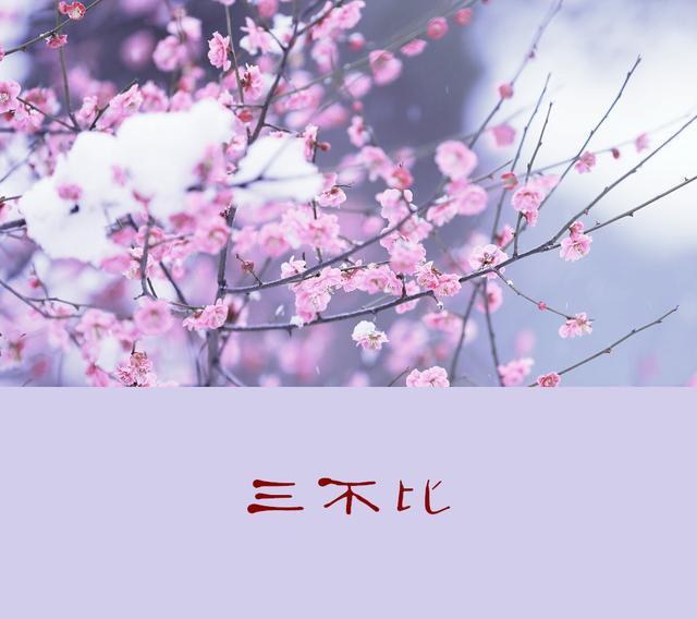 50歲知天命!不走三親,不喝三酒,不比三物,說得太好了