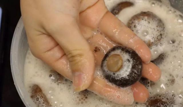 「泡發香菇」10個人9人都錯了！飯店廚師長用一方法「三分鐘全泡開」