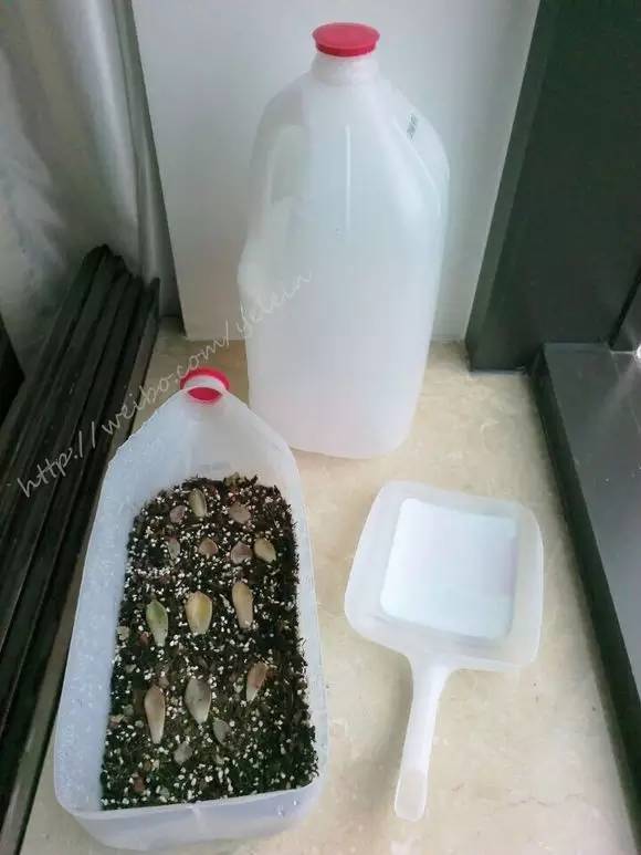 寶特瓶別丟啦！改裝一下變「筆筒 收納盒」能省好幾百！太實用了