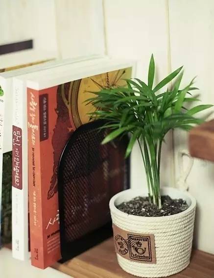 寶特瓶別丟啦！改裝一下變「筆筒 收納盒」能省好幾百！太實用了