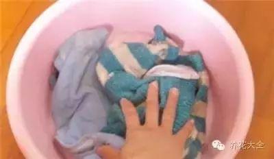 羽絨服、毛呢大衣太難洗？教你一招「比乾洗店洗的還乾凈」方便又省錢