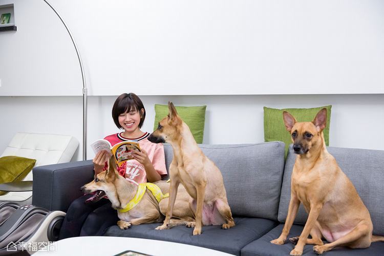 19歲北上打拚!米可白嫁入豪門6年「億元愛巢」曝光 「家中擺設」看出她樸質本性被推崇