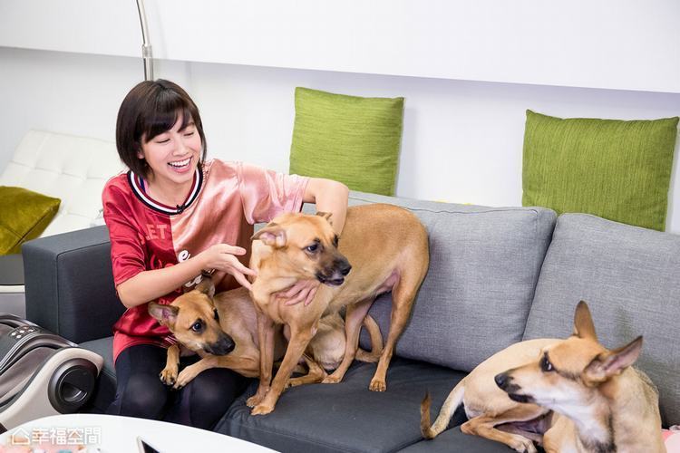 19歲北上打拚!米可白嫁入豪門6年「億元愛巢」曝光 「家中擺設」看出她樸質本性被推崇