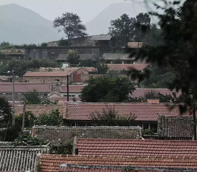 這才叫退休！山中3年他把「破房改造漂亮小院」　「四季不同美」活的比現代人愜意