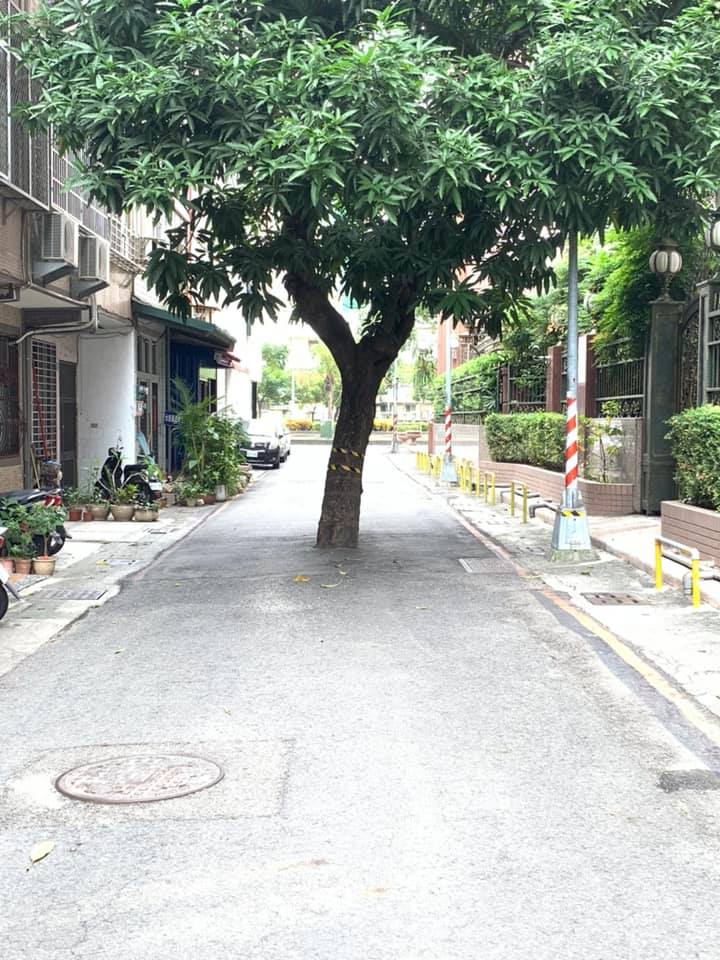 最貴路霸！高雄大樹「擋路中間20年」誰也趕不走　打電話報警「被告知要4千萬」網驚：後台很硬