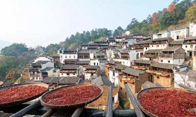 中老年人為什麼要旅遊？回答得太好了，收藏必看