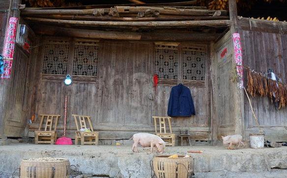 26歲兒子把62歲母親趕出門,只給一件破大衣,母親半路摸口袋哭了!