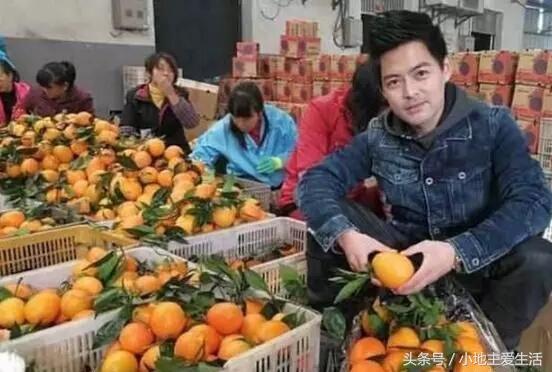 十張遺落在民間的明星臉！看完後忍不住大喊「同臉不同命」第8張網笑翻：你怎麼在這？
