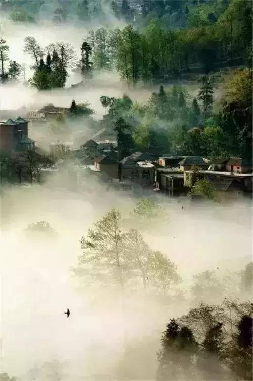 人生只有「這三天」！瞬間就是一年 轉眼就是一生：還沒明白就老了...