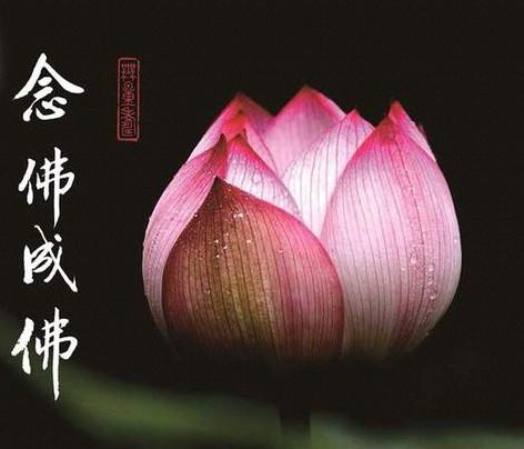 化解業障的最好經書！凈空法師：「一天念三遍經」 不到半年， 業障全消