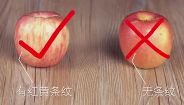 【禁用】橘子還分公母？母橘子才更好吃！果農教你挑選技巧「一挑一個準」