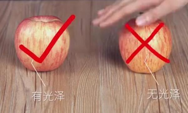 【禁用】橘子還分公母？母橘子才更好吃！果農教你挑選技巧「一挑一個準」
