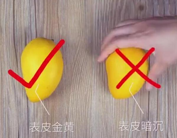 【禁用】橘子還分公母？母橘子才更好吃！果農教你挑選技巧「一挑一個準」