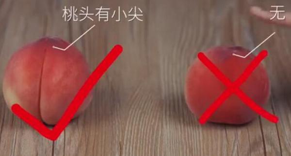 【禁用】橘子還分公母？母橘子才更好吃！果農教你挑選技巧「一挑一個準」