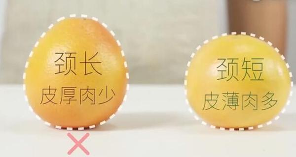【禁用】橘子還分公母？母橘子才更好吃！果農教你挑選技巧「一挑一個準」
