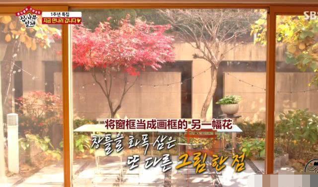 孫藝珍超美豪宅曝光「處處充滿驚喜」　「獨立花園」四季皆美網驚：女神就是不一樣！