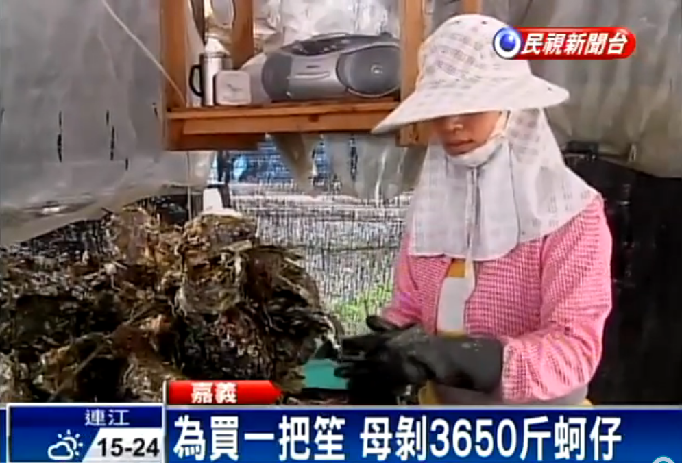 想好好栽培孩子！為替兒買樂器…母得「剝蚵3650斤」無怨言  奪全縣冠軍：媽媽要我堅持下去