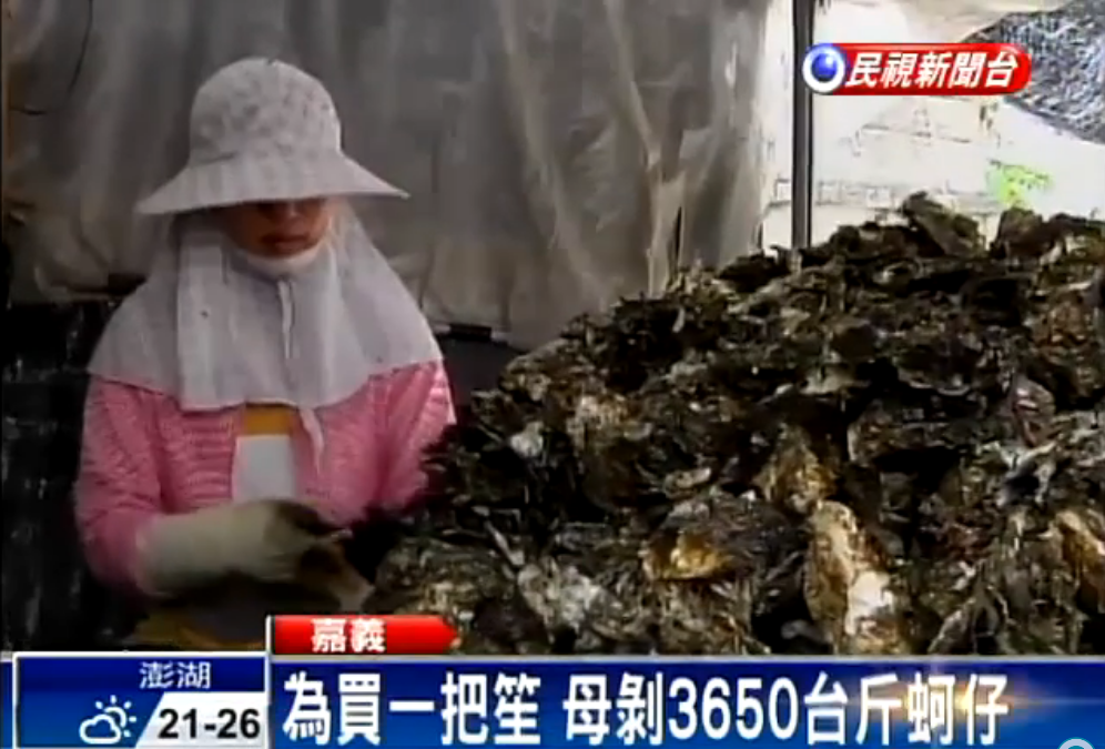 想好好栽培孩子！為替兒買樂器…母得「剝蚵3650斤」無怨言  奪全縣冠軍：媽媽要我堅持下去