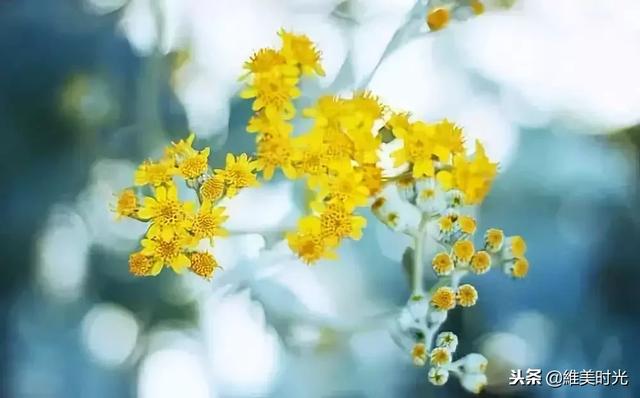 做人就是「誠信+感恩+人品」！這話說的是真話，很好
