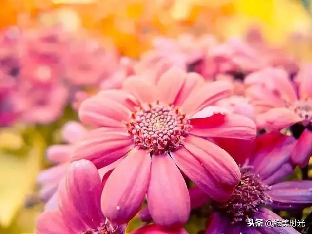 做人就是「誠信+感恩+人品」！這話說的是真話，很好