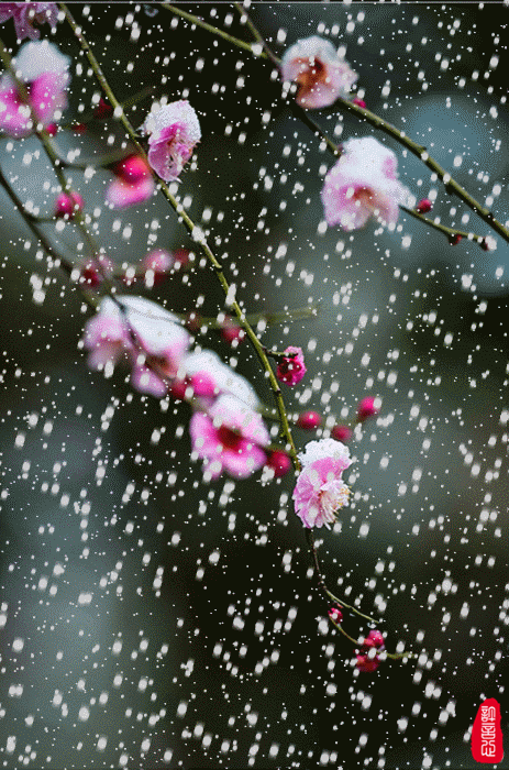 早上好，今天大雪！福門開 財運來，誰先打開誰發財