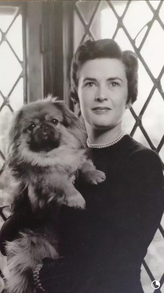 老夫妻6天閃婚恩愛73年!晚年「為病痛所苦」選擇「同時尊嚴離開」:有你在什麼都不怕