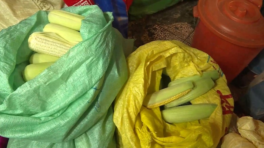 超坑！瑞豐夜市「水煮玉米4支220」民眾拒買還被甩臉　老闆娘終於出面喊冤：「我是被逼的」