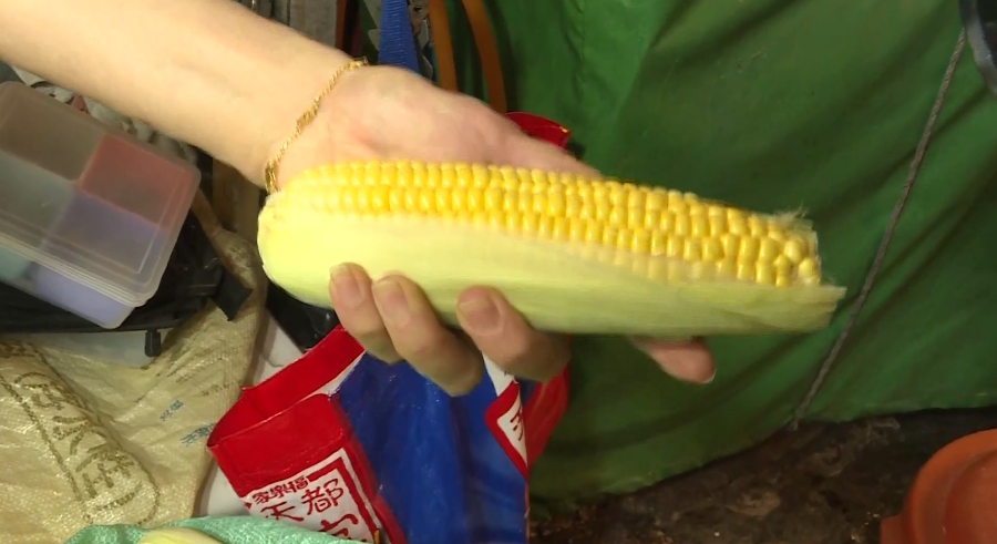 超坑！瑞豐夜市「水煮玉米4支220」民眾拒買還被甩臉　老闆娘終於出面喊冤：「我是被逼的」