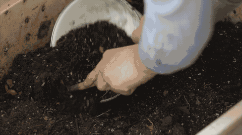 甘願放棄高薪！一對情侶「3年零收入、不消費」除了房租沒有支出　最後竟成功開店：零浪費生活