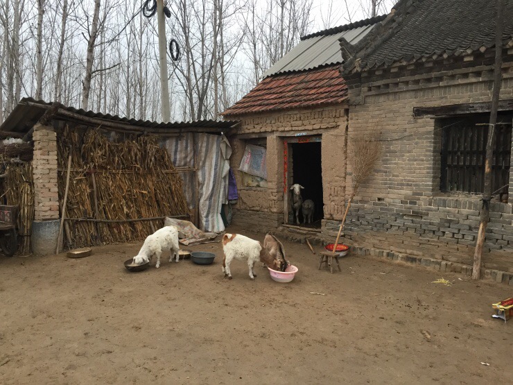 女研究生4年連生3胎，卻無人見過男友，三年後家裡來一人，爸媽看到都慌了神！