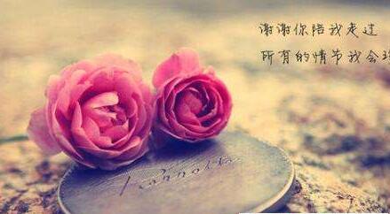 世上沒有後悔藥！因為在乎所以懂你，請珍惜在乎你的人