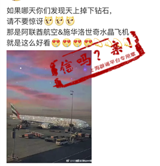阿聯酋航空客機「鑲滿詩華洛世奇水晶」有夠狂　全球網友驚呆讚：不愧是杜拜Style！