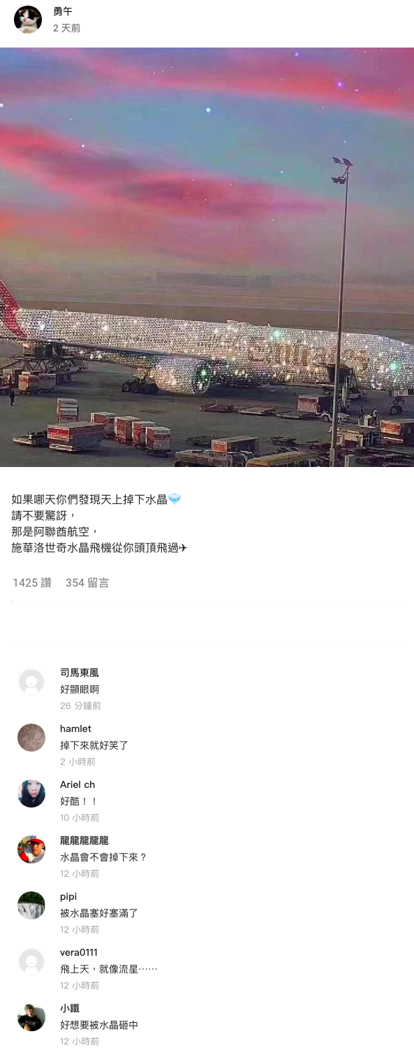 阿聯酋航空客機「鑲滿詩華洛世奇水晶」有夠狂　全球網友驚呆讚：不愧是杜拜Style！