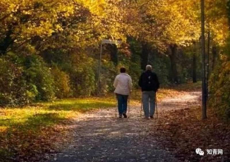 不求子女不求人，一位60歲老人的生活感悟，值得收藏細讀。