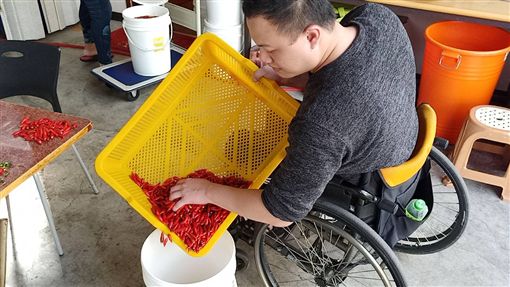 工作傷成身障「遭父親嫌丟臉」！他關在房間2年重拾勇氣…製作「安心辣椒醬」全靠自己