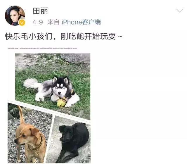 田麗：不能給我愛情「還來分我麵包」勇敢離婚2次的她「53歲依然美麗從容」享受單身生活