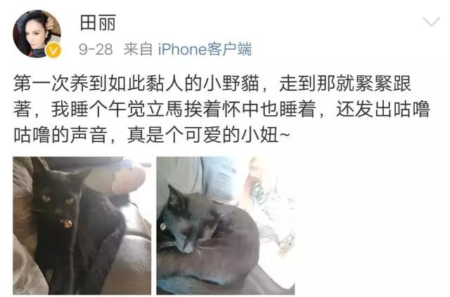 田麗：不能給我愛情「還來分我麵包」勇敢離婚2次的她「53歲依然美麗從容」享受單身生活